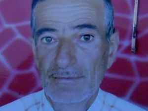 Ceviz ağacı sonu oldu