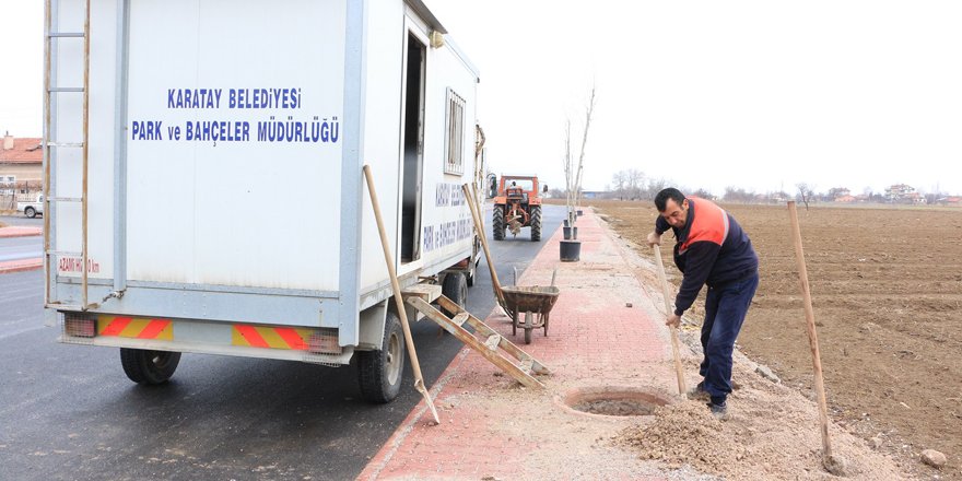 İğde kokusu Konya'yı saracak