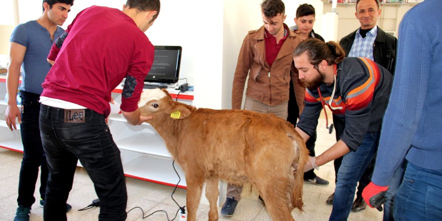 Seydişehir'de hayvan hastanesi hizmete başladı