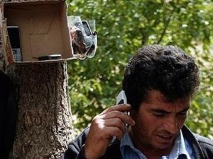 Kavak ağacı değil sanki baz istasyonu