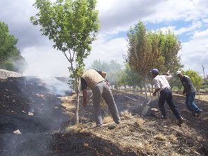 Alitepe Parkı’ndaki yangın korkuttu