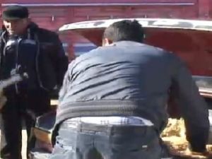 8 koyunu aracına sığdırdı VİDEO