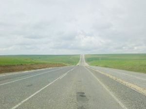Yol kenarlarına 1 milyon ağaç