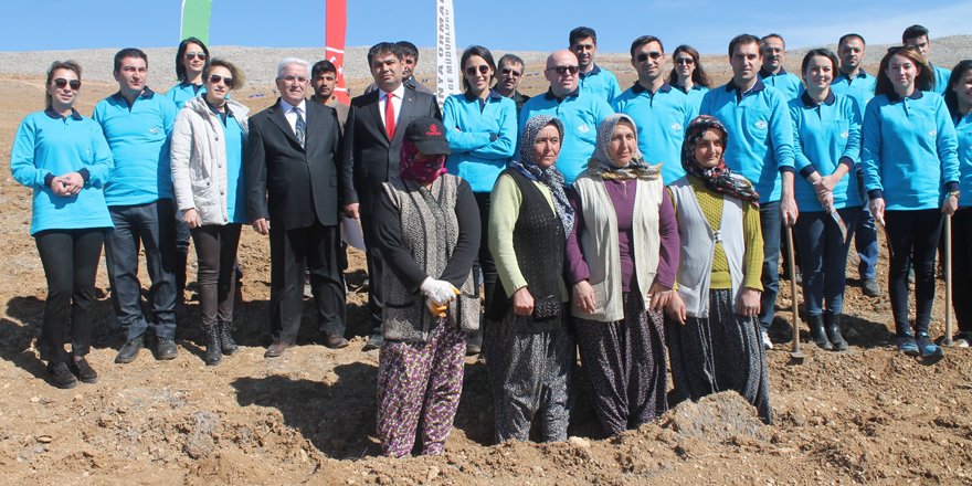 MEDAŞ personelinden ağaçlandırmaya destek