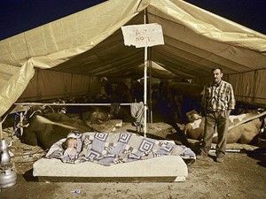 Çiftçiler markete yeniliyor