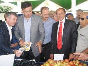 Pazarda satılan her ürün organik değil