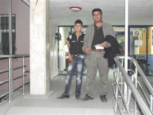 Başıboş köpek dehşeti