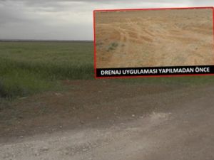 Ova çölleşmeden kurtarılacak