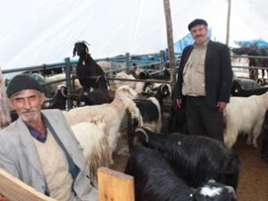 Beyşehir'de kurban hareketliliği