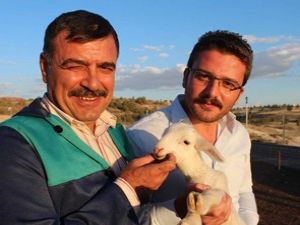 Yediz kuzu bekliyorlar