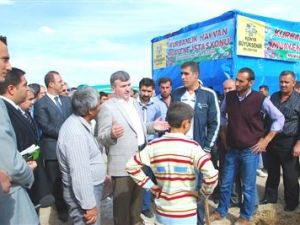Avrupa'nın en modern hayvan pazar yeri Konya'da kuruluyor