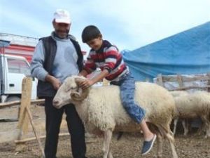 Pazarın en büyük koçu müşterisini bekliyor