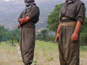 PKK'nın sözde Van sorumlusu öldürüldü