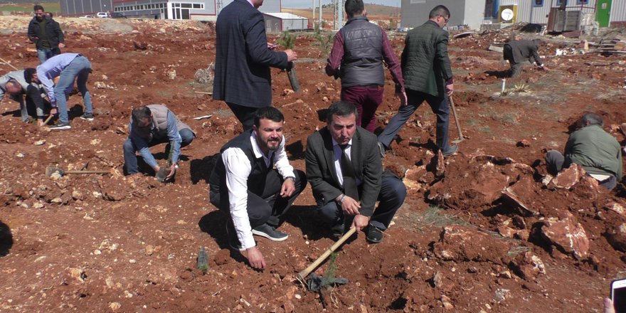 Beyşehir’de 500 fidan toprakla buluşturuldu