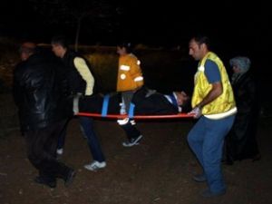 Tilkiye çarpan otomobil devrildi: 2 yaralı