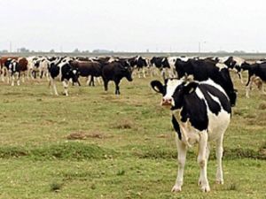 Gündeme bomba gibi düşecek skandal!