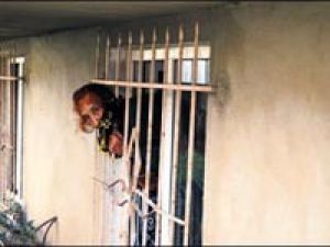 Pencereden bakmak isterken başı sıkıştı