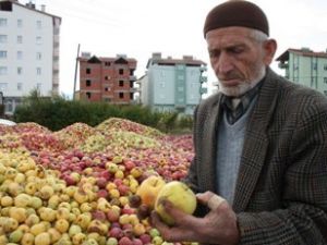 'Döküntü elma meyve suyu oluyor