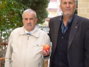 Cami yararına nar satışı