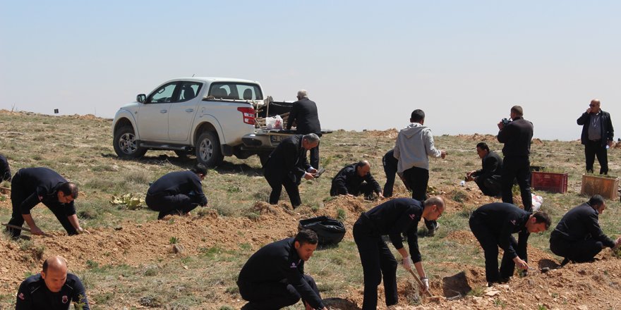 İnfaz koruma memurları 15 Temmuz şehitleri anısına 249 fidan dikti