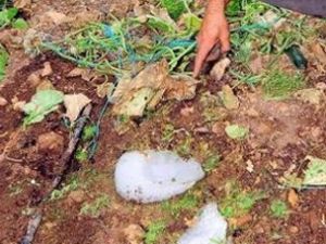 Gökten düşen 10 kiloluk buz korkuttu