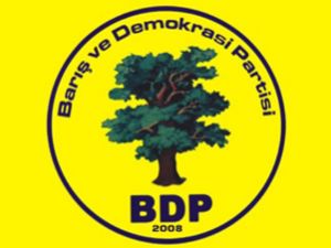 BDP'li 2 vekil açlık grevine başladı