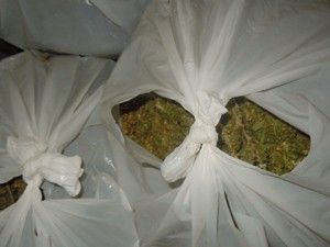 Ordudan atılan şahıs 25 kilo esrarla yakalandı