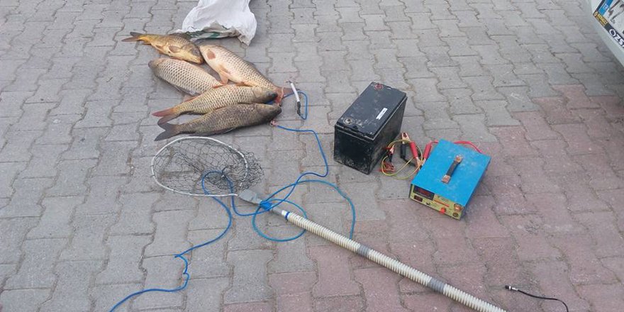 Beyşehir'de elektrik akımıyla balık avına 4 bin 650 lira ceza