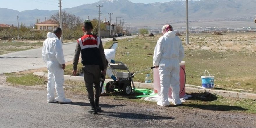 Niğde’de kuş gribi şüphesi!