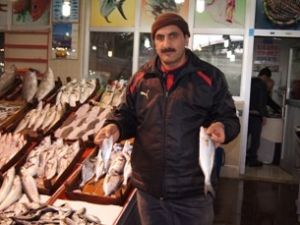 Sosyal medya 'balık kültürü' oluşturdu