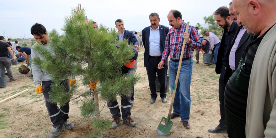 Selçuklu’da sanayi çalışanı gençler bin 71 fidanı toprakla buluşturdu