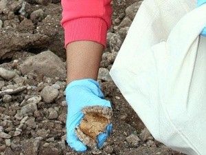 Kemik parçaları bulundu