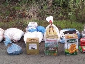 Amanoslar'da bir sığınak daha bulundu