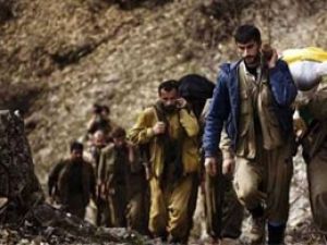Bingöl'de iki PKK'lı öldürüldü