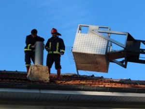 Her işe koşuyorlar!