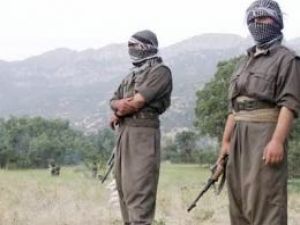 Hakkari'de iki terörist teslim oldu