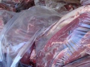 20 ton buffalo eti ele geçirildi