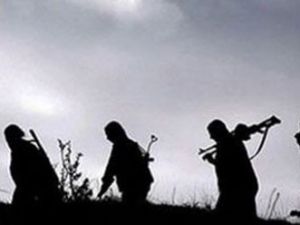 Diyarbakır polisinden PKK'ya büyük darbe