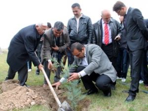 Mahkumlarfidan dikti