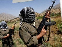 Bingöl'de 7 PKK'lı öldürüldü!