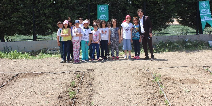 Gençlik öğrencileri hobi bahçesine ekim yaptı