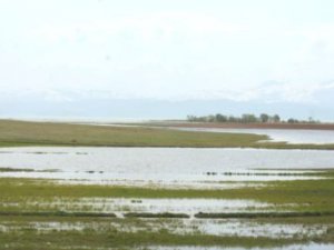 Tarım alanları su baskınlarından kurtulacak