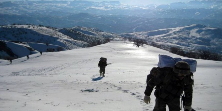 Tendürek Dağı'nda 20 terörist öldürüldü