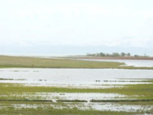 Tarım alanları su baskınlarından kurtulacak