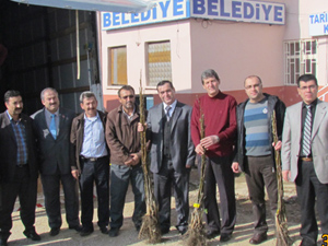 Hüyük’te 4 farklı ceviz fidanı dağıtıldı