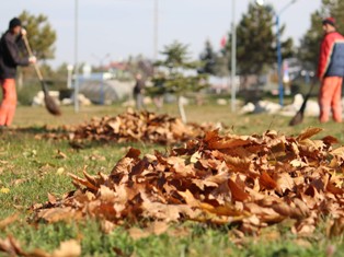Yaprak dökümü mesaisi