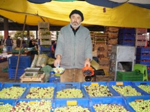 Kurmalık zeytine talep fazla