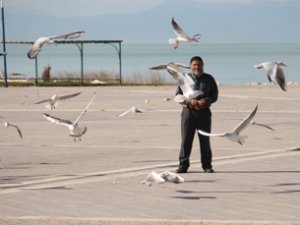 Su kuşlarını hamur işiyle besliyor