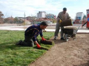 Karatay'da yeşillendirme çalışmaları