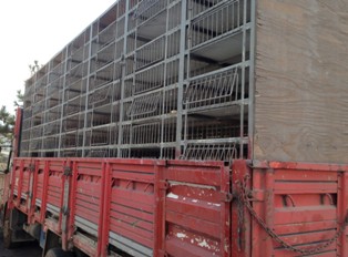 Tavuk kafesinde uyuşturucu sevkıyatı